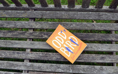 Odd Bird 365 – Hatching soon.