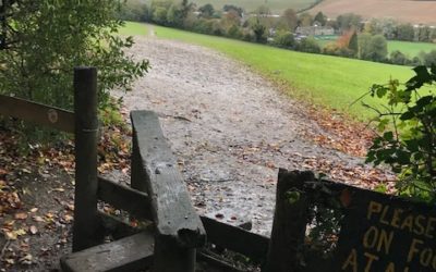 Day 20 – Farm Wood, Wooburn Green