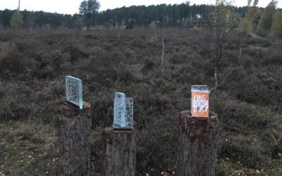 Day 30 – RSPB Farnham Heath, Surrey