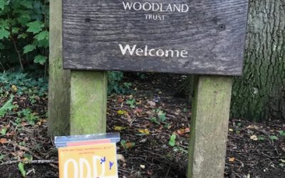 Day 7 – Quarry Wood