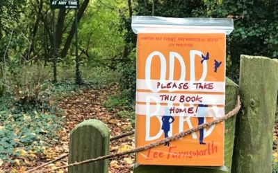 Day 23 – Bray Gravel Pits