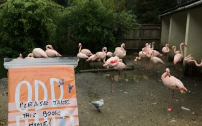 Day 24 – Birdworld, Surrey