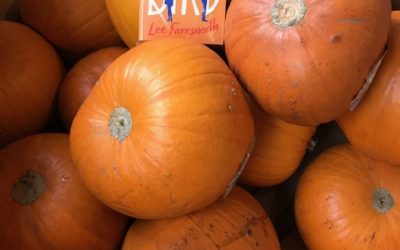 Day 21 – Waitrose, Farnham, Surrey