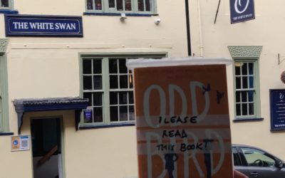 Day 25 – White Swan, Aylesbury